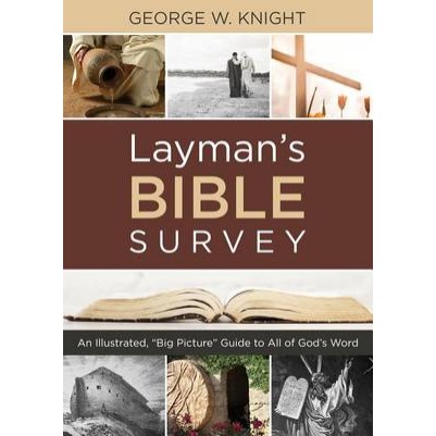 Layman's Bible Survey (OP)