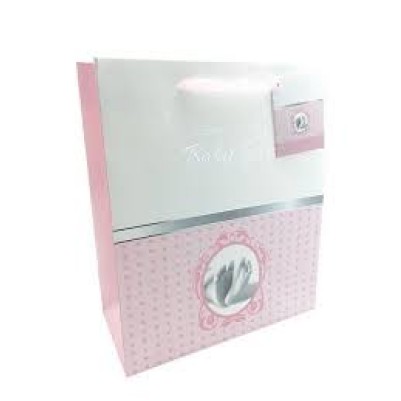Gift Bag BLessings on your Baby Girl