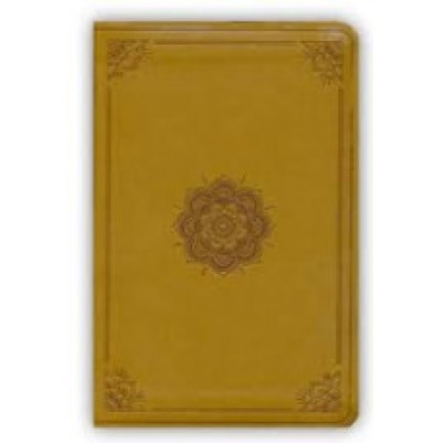 ESV COMPACT OUTREACH GOLD