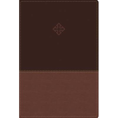 Amplified Study Bible Large Brown Imitation Leather