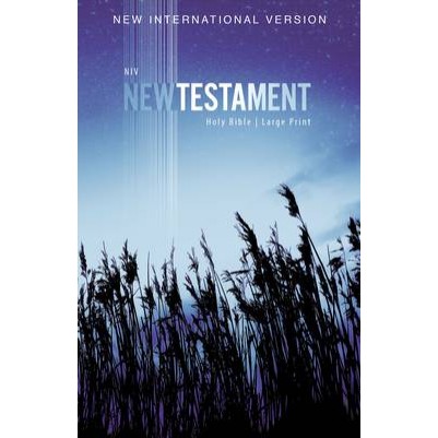 NIV Outreach New Testament Large Print Blue Wheat P/B