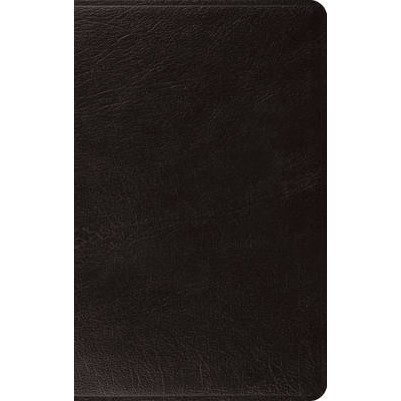ESV Large Print Thinline Bible Black Leather
