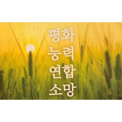Korean  LBOH  - 10 pack