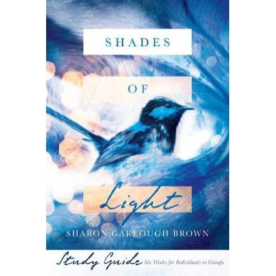 Shades of Light Study Guide