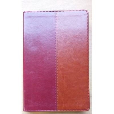 NLT Bible Tan and Burgundy Flexitone