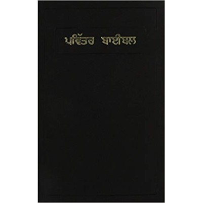 Punjabi Bible Common Language Vinyl
