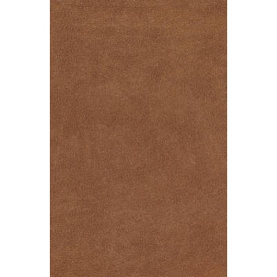 Esv Bible Value Edition Bonded Leather B