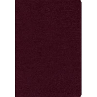 NASB Thinline Bible Large Print 1995 Text Burg B/L