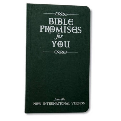 Bible Promises for You: From the New International Version
