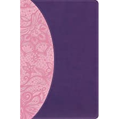 KJV One Big Story Bible Pink/Purple I/L