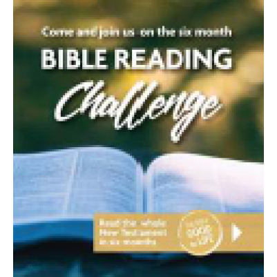 Bible Reading Challenge NT Adults (single)