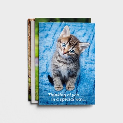 GC: Boxed Get Well Whiskers and Paws