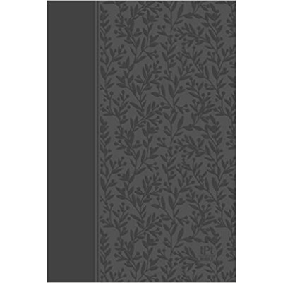 TPT New Testament 2020 Ed Gray I/L (Passion Paraphrase)