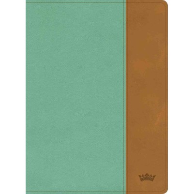 CSB Tony Evans Study Bible Teal/Earth Indexed I/L
