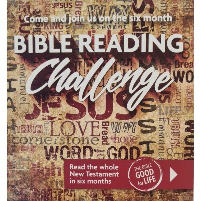 Bible Reading Challenge Teen NT  (Single)