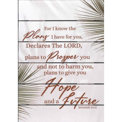 Plaque Wooden For I Know The Plans A4