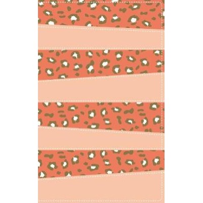 NIV Adventure Bible Coral I/L