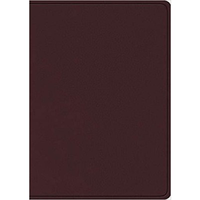 ESV Study Bible Large Print Burgundy I/L