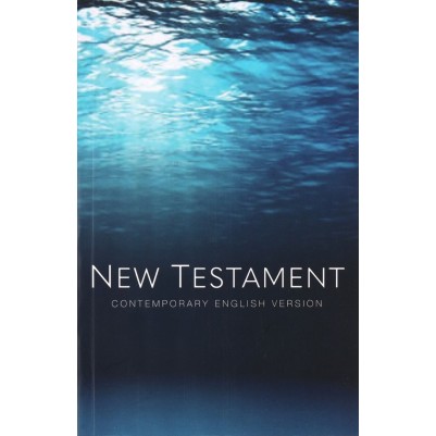 CEV Immerse Yourself  New Testament PB