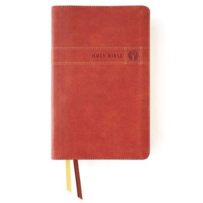 NIV Men's Devotional Bible Brown I/L