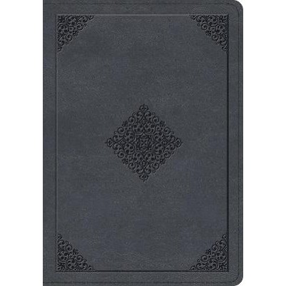 ESV Large Print Wide Margin Bible Ornament Slate Blue(05/24)