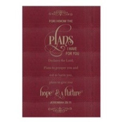 Journal For I Know The Plans Twotone Burgundy (08/24)