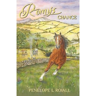 Romy's Chance