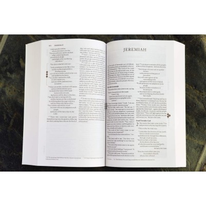 NIV Recovery Devotional Bible P/B
