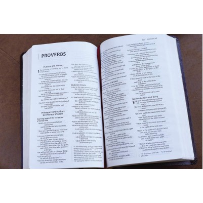 NIV Thinline Bible Burgundy B/L