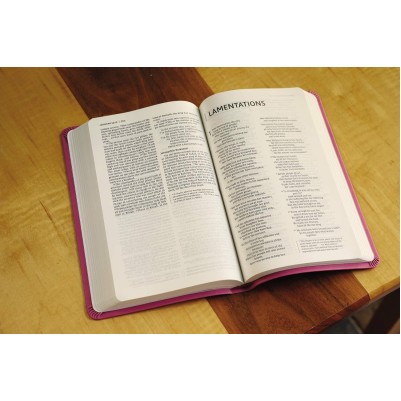 NIV Value Thinline Bible Pink I/L
