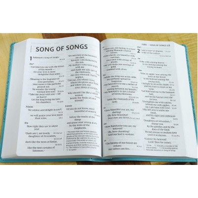 NIV Super Giant Print Reference Bible Blue I/L