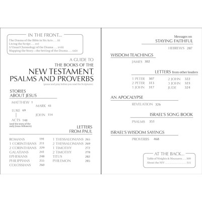 NIV Pocket New Testament With Psalms And Proverbs