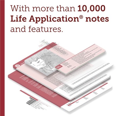 NIV Life Application 3rd Ed H/C Large Print R/L