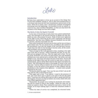 NIV Luke: Beautiful Word Bible Journal