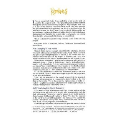 NIV Romans: Beautiful Word Bible Journal