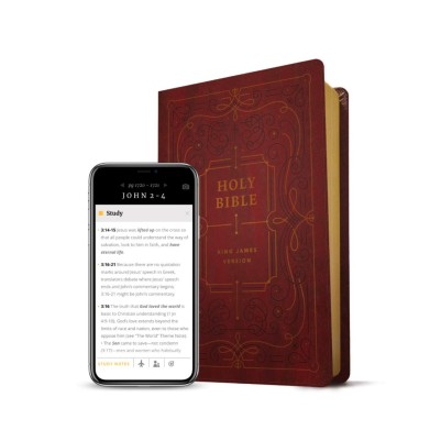 KJV Large Print Thinline Ref Bible Filament Enabled Burg