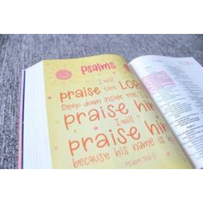 NIRV Radiant Virtues Bible For Girls Magnetic Closure