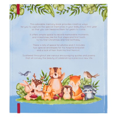 My First Year Memory Book For Baby Boys